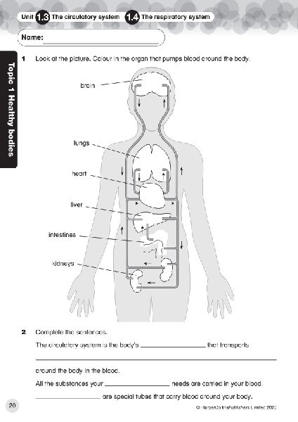 INT PRI SCI PROGRESS TP6
