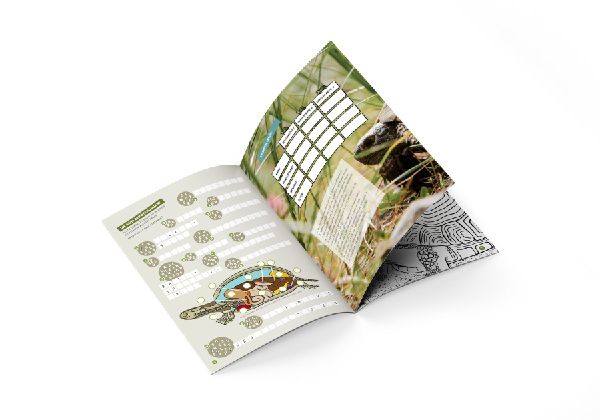 Faszination Schildkröte - das besondere Rätsel-, Mal- und Wissensbuch