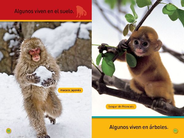 National Geographic Readers: ¡Agárrate, Mono! (Pre-Reader)-Spanish Edition