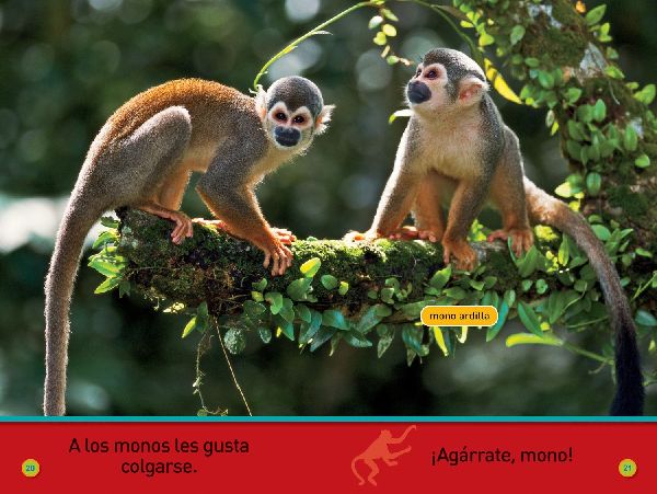 National Geographic Readers: ¡Agárrate, Mono! (Pre-Reader)-Spanish Edition