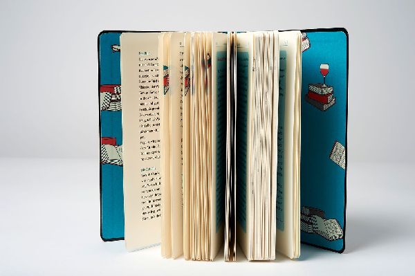 Ein gutes Buch kommt selten allein