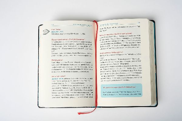 Ein gutes Buch kommt selten allein