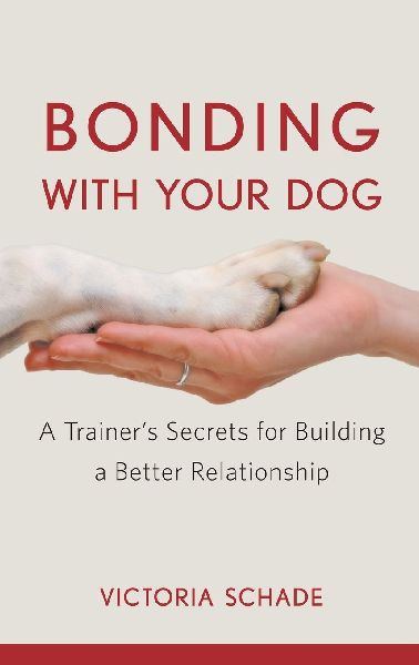 Bonding with Your Dog