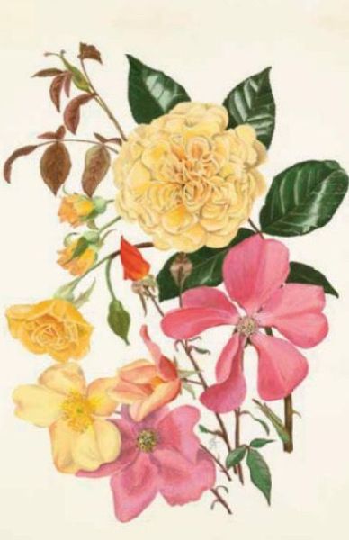 100 Blumen