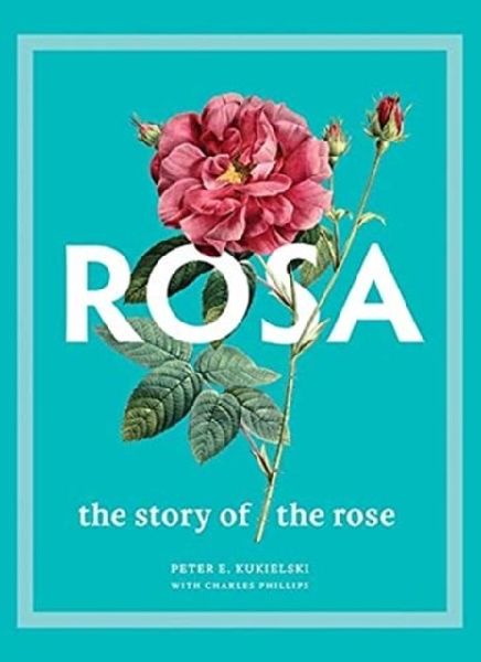 Rosa