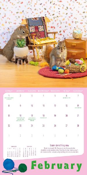 Secret Life of Squirrels Mini Wall Calendar 2026