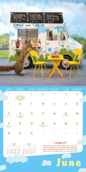 Secret Life of Squirrels Mini Wall Calendar 2026