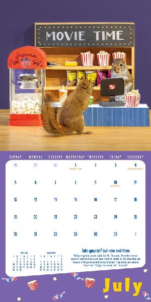 Secret Life of Squirrels Mini Wall Calendar 2026