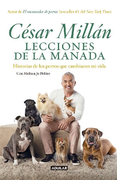 Lecciones de la Manada / Cesar Millan's Lessons from the ...