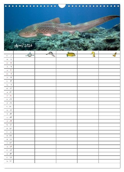 Der Unterwasser Familienplaner 2026 (Wandkalender 2026 DIN A3 hoch), CALVENDO Monatskalender