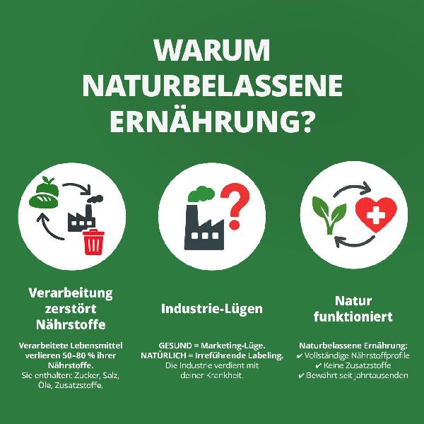 Die Krankheitslügen - Was man macht, um nicht krank zu werden.