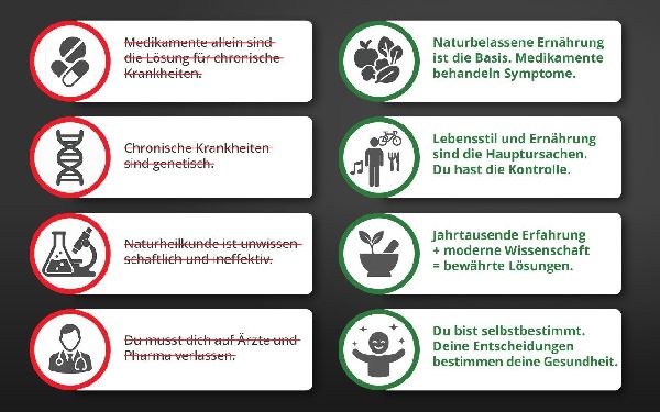 Die Krankheitslügen - Was man macht, um nicht krank zu werden.