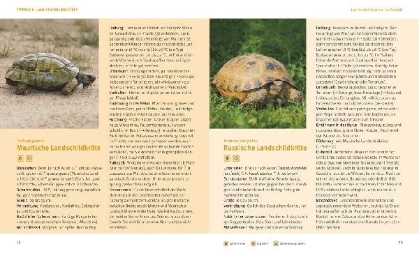 Landschildkröten.