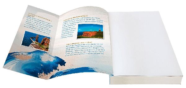 Die Frauen von Helgoland. Windflüchterin