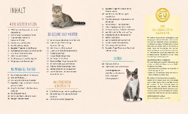 Katzen