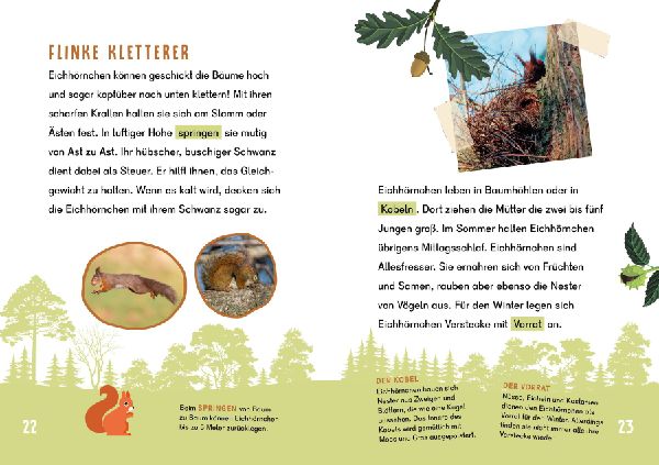 Dein Lesestart - Wald