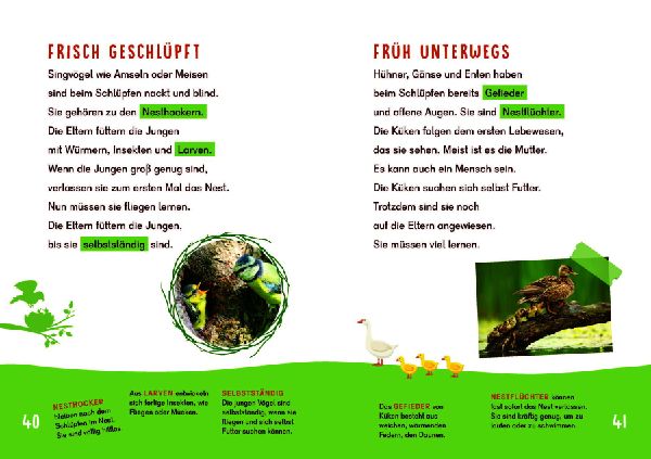 Dein Lesestart - Vögel