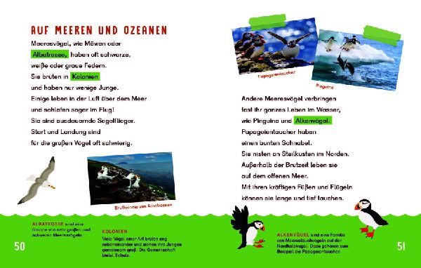 Dein Lesestart - Vögel