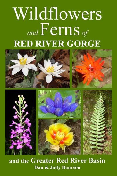 Wildflowers and Ferns of Red River Gorge and the Greater Red R...