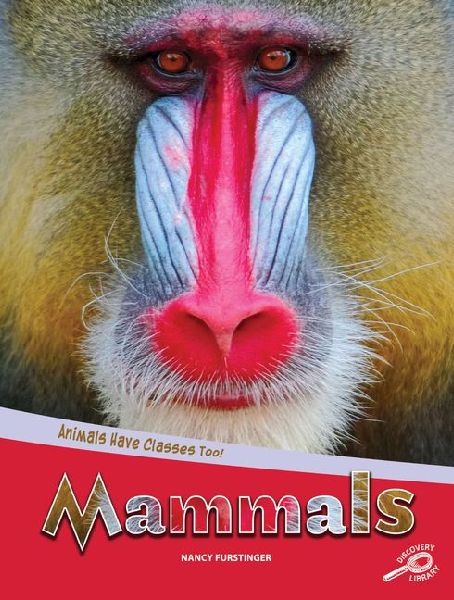 Mammals