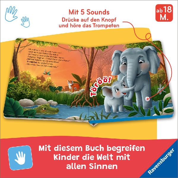 Hör mal hin - Törööö! Bist du meine Mama?