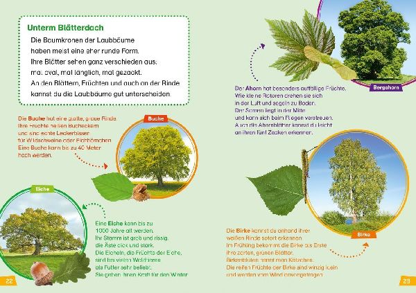 WAS IST WAS Erstes Lesen Band 6. Wald