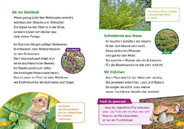 WAS IST WAS Erstes Lesen Band 6. Wald