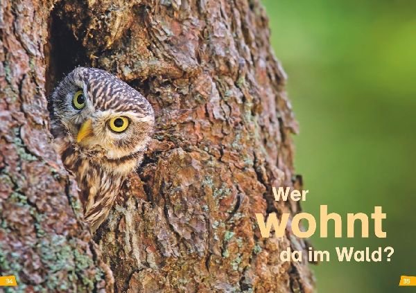 WAS IST WAS Erstes Lesen Band 6. Wald