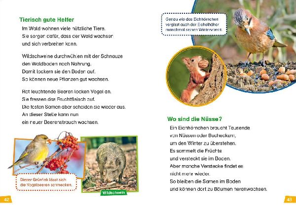 WAS IST WAS Erstes Lesen Band 6. Wald