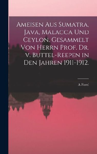 Ameisen aus Sumatra, Java, Malacca und Ceylon. Gesammelt von H...