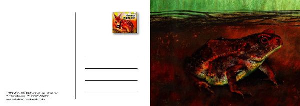 Von den Waldtieren - Ein Postkartenbuch