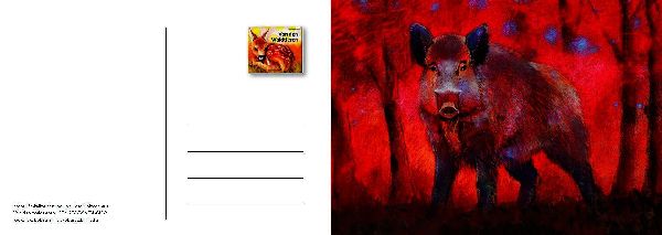 Von den Waldtieren - Ein Postkartenbuch