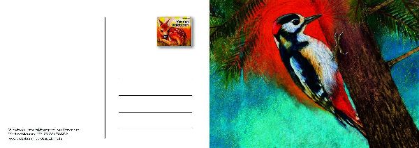 Von den Waldtieren - Ein Postkartenbuch