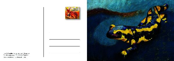 Von den Waldtieren - Ein Postkartenbuch