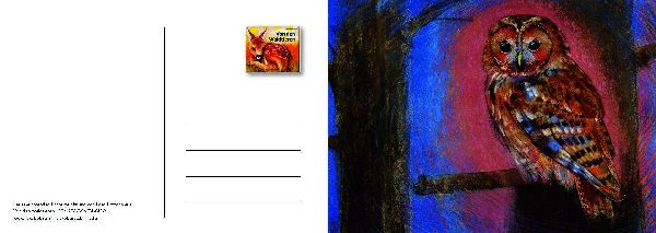 Von den Waldtieren - Ein Postkartenbuch