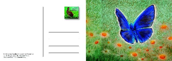 Von den Wiesentieren - Ein Postkartenbuch