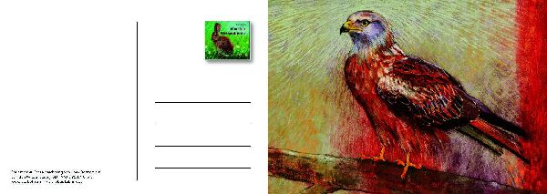 Von den Wiesentieren - Ein Postkartenbuch
