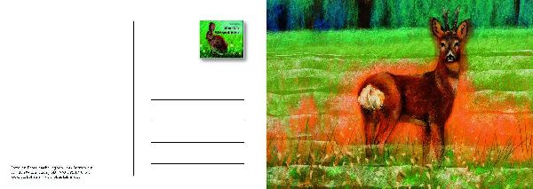 Von den Wiesentieren - Ein Postkartenbuch