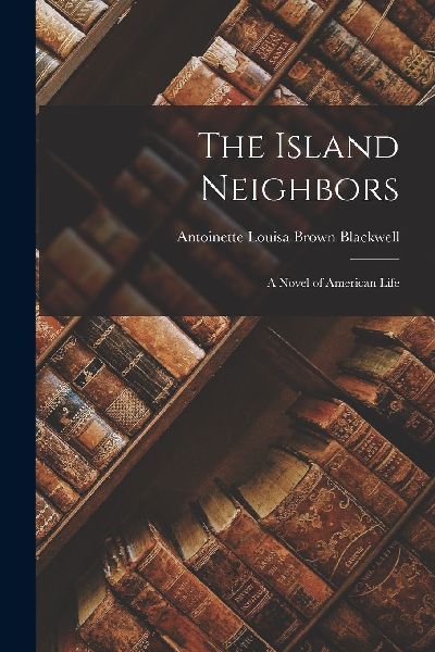 The Island Neighbors: A Novel of American Life