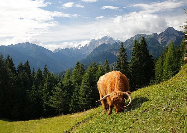Der Geschmack der Berge