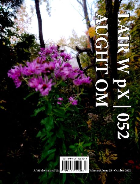 LAIR W pX 052 Aught Om