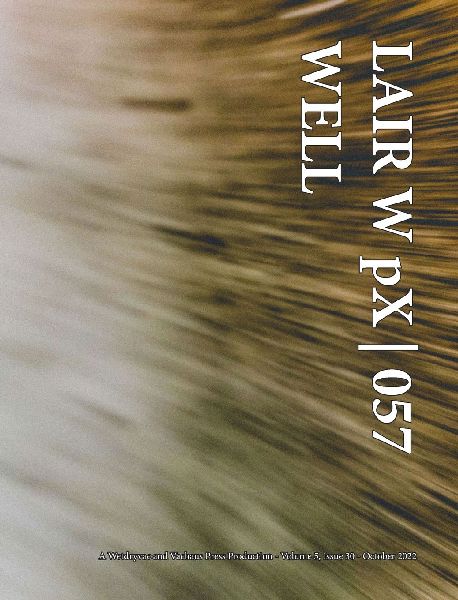 LAIR W pX 057 Well