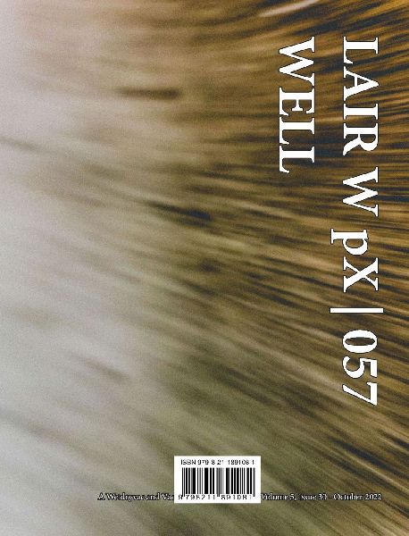 LAIR W pX 057 Well