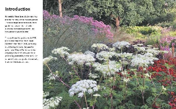 Planting the Natural Garden