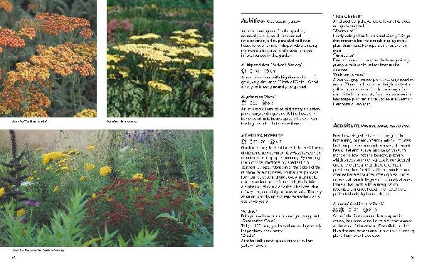 Planting the Natural Garden