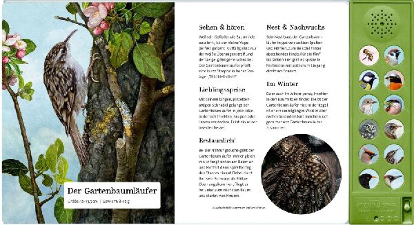 Was singt und summt im Apfelbaum?