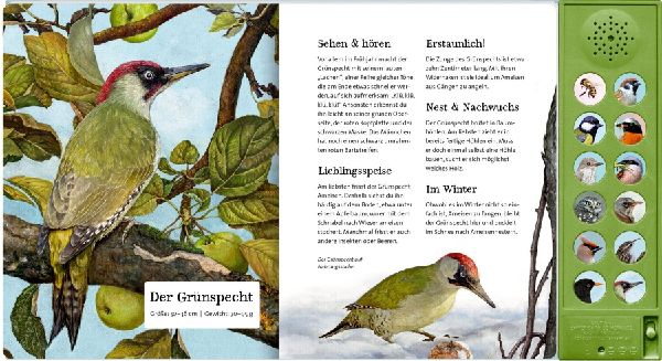 Was singt und summt im Apfelbaum?