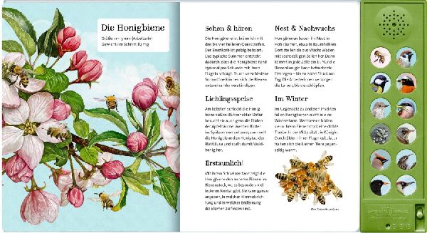 Was singt und summt im Apfelbaum?