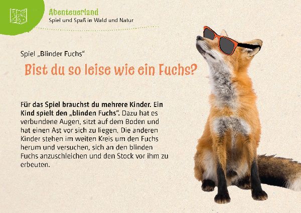 Abenteuer Wald