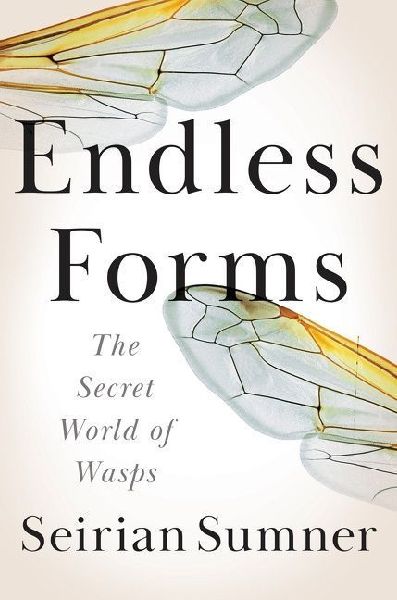 Endless Forms